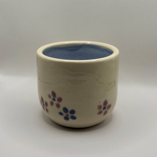 Spring 02 (Cup)