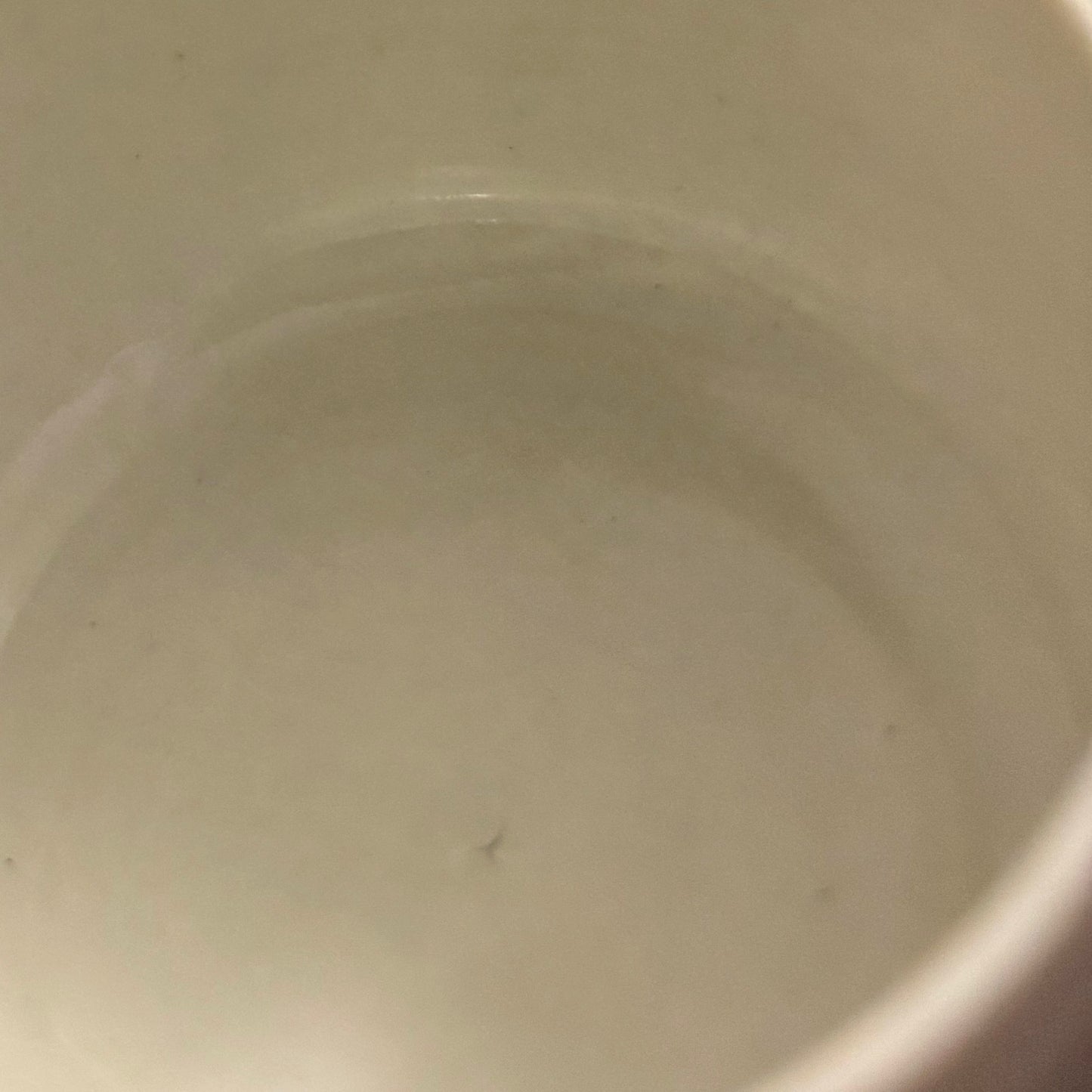 Cup 02